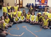 Brownies gather money for charity