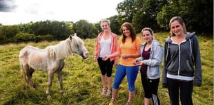 Lacing up for nags in need