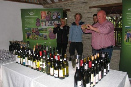 Monmouthshire vineyards among the best in Wales
