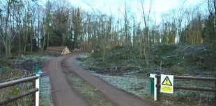 Woodland clearance part of restoration