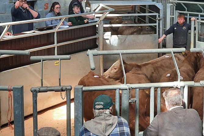 Livestock market