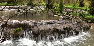 Rare brook dams 'saved' as park lodges plan rejected 