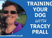 Dog Training with Tracey Prall: The advantages of hydrotherapy