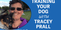 Dog Training with Tracey Prall: The advantages of hydrotherapy