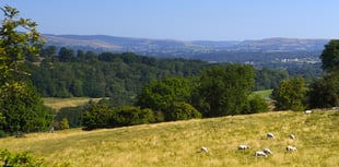 Wales launches first-ever strategy to tackle wildlife and rural crime