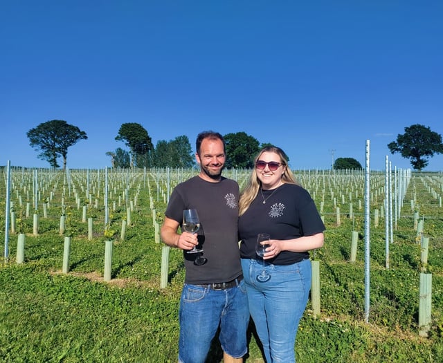 GALLERY: vineyard based in Raglan celebrates Welsh Wine Week 