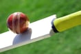 Chepstow's Harris hits 52, but Ynys take the spoils 