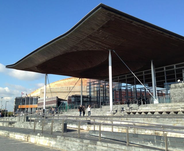 Patient safety concerns raised at the Senedd