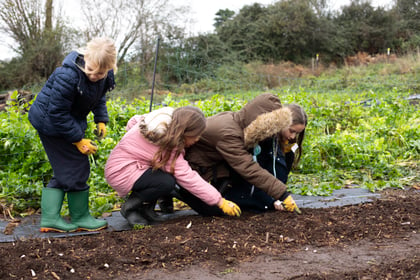 Monmouthshire pupils get hands-on experience at Langtons Farm