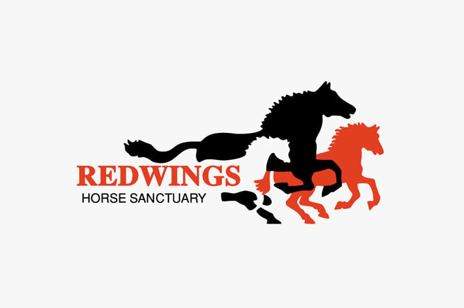 Redwings horse rescue