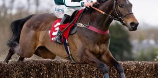 Wye Valley trainer's big hopes for Cheltenham Festival 