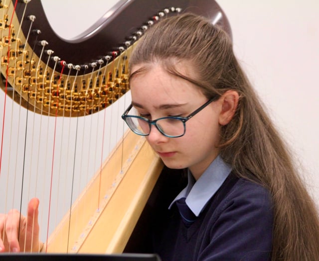 Young musicians impress at Spring Showcase