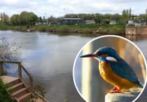 More Wye fishing platforms ‘bad for river’ warns wildlife watchdog