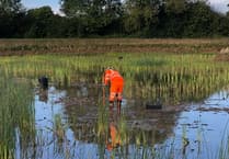 Innovative wetland project recognised with award