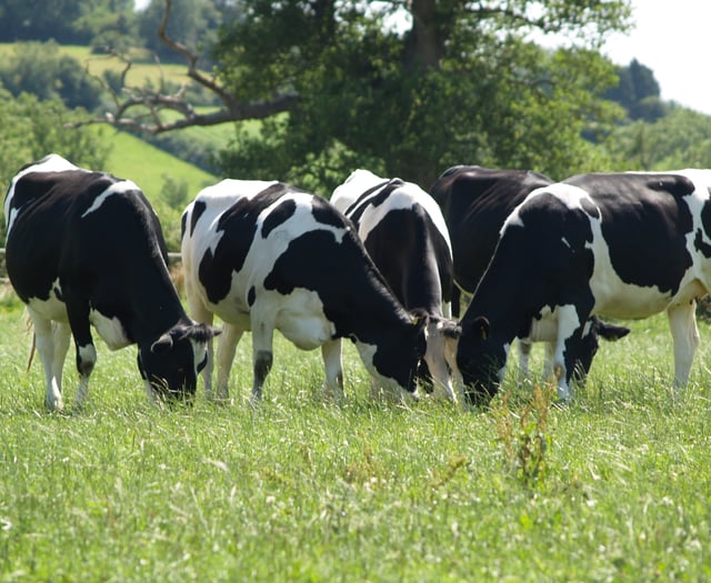 Farming industry feedback shapes new changes to TB testing announced.