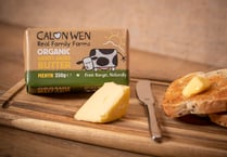 Calon Wen encouraging dairy farmers to go organic