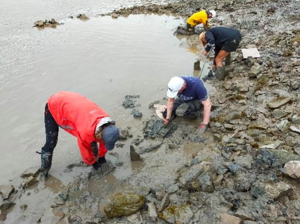 Chepstow Archaeological Society digging the the crossing site