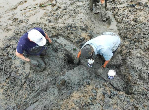 Chepstow Archaeological Society digging the the crossing site