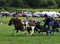 Just two weeks to the Monmouthshire Show