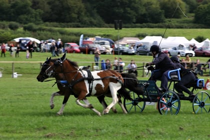 Just two weeks to the Monmouthshire Show