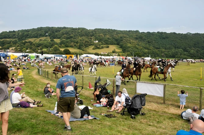 The sights and sounds of a county show