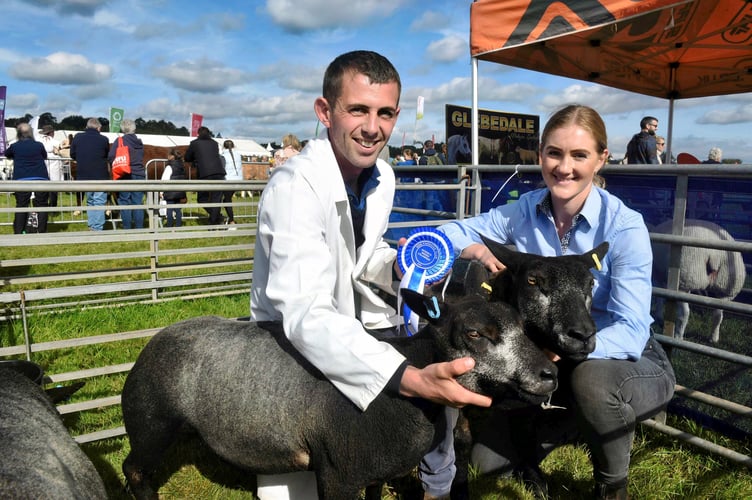 Rhys and Louise Cook with their prizewinning Blue Texel