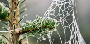 Weekly weather watch for your area